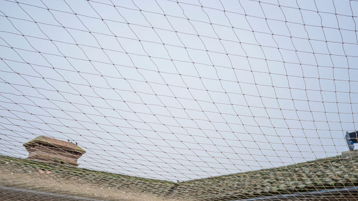 Pigeon Safety nets  in sangareddy