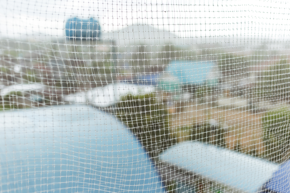  Bird Netting In Hyderabad
