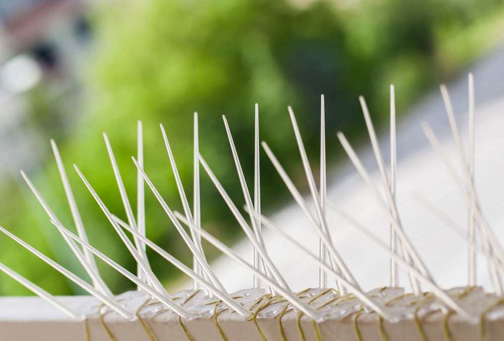 Anti Bird Spikes Karkhana