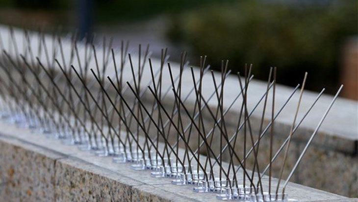Anti Bird Spikes Vikrampuri